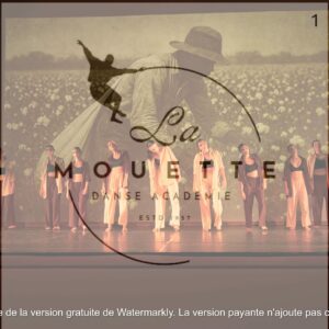 PHOTOS GALA 2025 DEBUT DU XXeme SIECLE