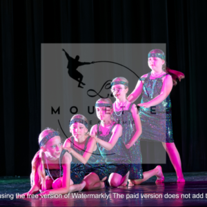 PHOTOS GALA 2025 LES ANNEES 30 - DEBUTANTS