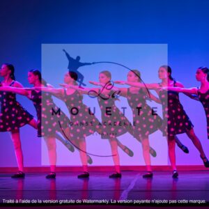 PHOTOS GALA 2025 LES COMEDIES MUSICALES CLASSIQUE AVANCE