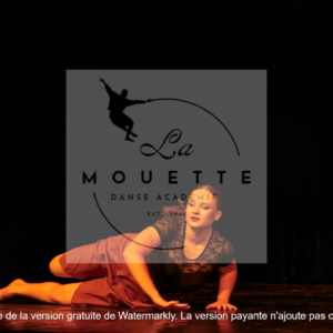 PHOTOS GALA 2025 LES ANNEES 60 70 SOLO INES