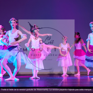 PHOTOS GALA 2025 LES ANNEES 60 70 CLASSIQUE ELEMENTAIRE, MOYEN